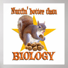 Ardilla de la biología posters