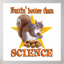 Ardilla de la ciencia posters