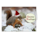 Ardilla de Navidad en nieve Felicitacion