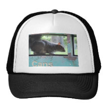 Ardilla en cubo de la basura gorras