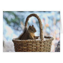 Ardilla en la cesta Nevado en foto del invierno Tarjeton