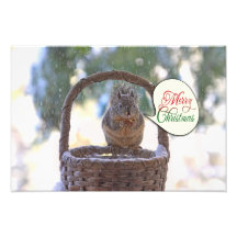 Ardilla en nieve que dice Felices Navidad Arte Fotografico