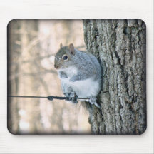 Ardilla gris - carolinensis del Sciurus Tapete De Ratones