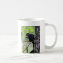 Ardilla negra tazas