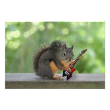 Ardilla que toca la guitarra eléctrica cojinete
