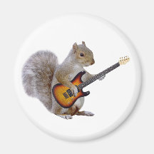 Ardilla que toca la guitarra iman