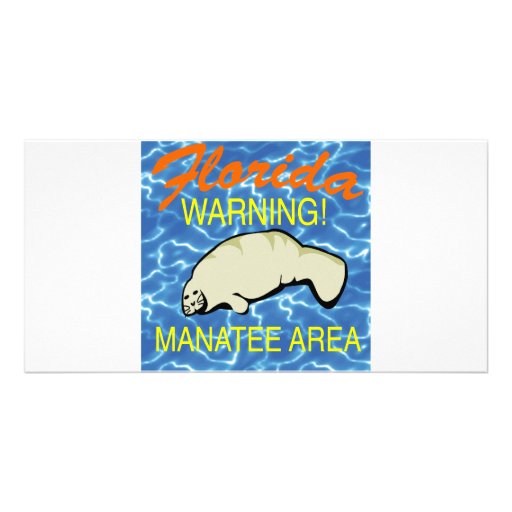 Área #0022 del Manatee de la Florida Tarjeta Fotografica Personalizada