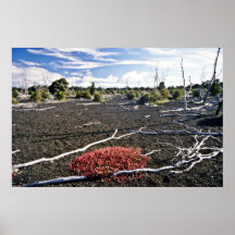 Área de la devastación - cráter de Kiluaea, Hawaii Poster