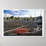 Área de la devastación - cráter de Kiluaea, Hawaii Posters