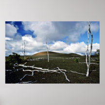 Área de la devastación - volcán de Kiluaea, Hawaii Poster