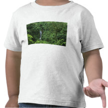 Área del volcán de Costa Rica, Arenal, puentes de  Camisetas