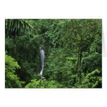 Área del volcán de Costa Rica, Arenal, puentes de  Felicitación