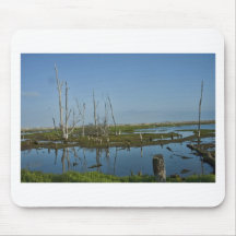Área ecológica de Bolsa Chica Alfombrilla De Ratones