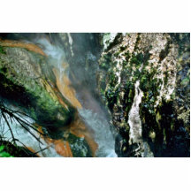 Área la termal del valle de Waimangu Escultura Fotografica