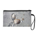Arena y Seashells