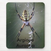 Argiope Aurantia Alfombrillas De Raton