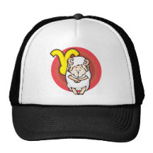 aries gorros  