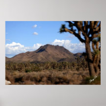 Arizona Poster
