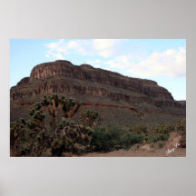 Arizona Poster