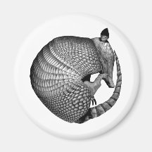 Armadillo Iman Para Frigorífico