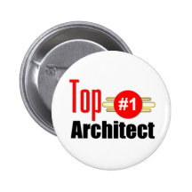 Arquitecto superior pins