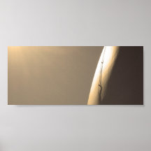 arquitectura poster