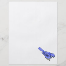 Arrendajo azul de la chaqueta tarjeta publicitaria