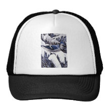 Arrendajo azul gorros  