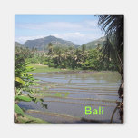Arroces de arroz hermosos de Bali imanes