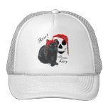 ¡Arrrr!  Gatito del pirata del gato negro Gorro