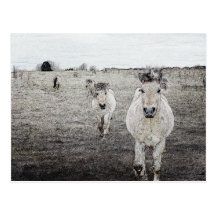 arte 1 del caballo tarjetas postales