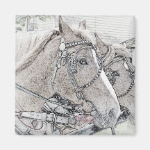 Arte 2010 3 del caballo imán para frigorífico