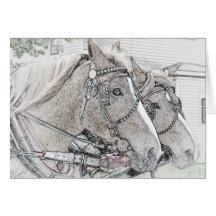 Arte 2010 3 del caballo tarjetas
