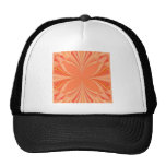 ARTE ABSTRACTO GORRO DE CAMIONERO