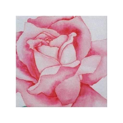 Rosas dibujadas a color - Imagui