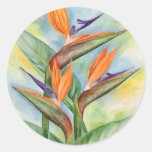 Arte de la flor de la ave del paraíso - multi pegatinas redondas