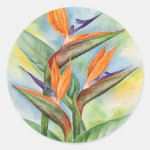 Arte de la flor de la ave del paraíso - multi pegatinas redondas
