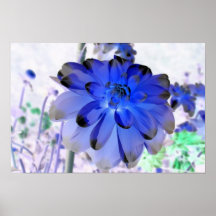Arte de la pared de Digitaces, dalia azul Impresiones