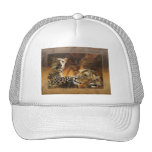 Arte de los depredadores del gato grande gorro