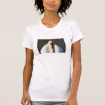 Arte del cisne camisetas