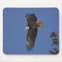 Arte del Fauna-partidario de Eagle calvo que vuela Alfombrillas De Ratón