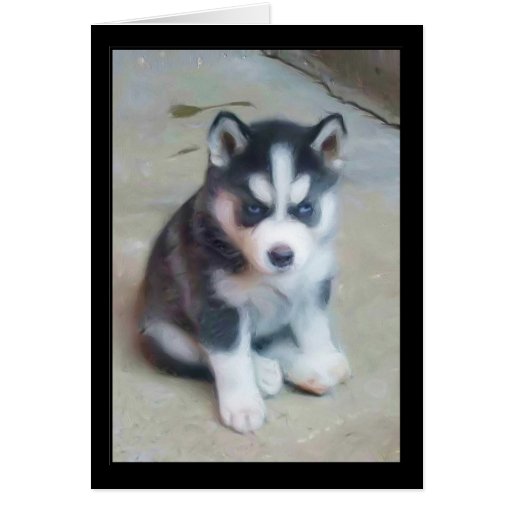 Arte del perrito del husky siberiano tarjeta