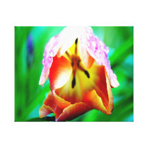 Arte envuelto tulipán de la lona impresión en lona