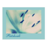 Arte floral de Digitaces de la postal del lirio de