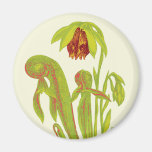 Arte floral de la planta de la cobra iman de nevera
