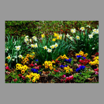 Arte fotográfico de Framedd del jardín posters