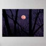 Arte fotográfico del invierno iluminado por la lun posters
