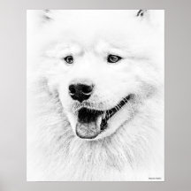 Arte hermoso del perro del samoyedo posters