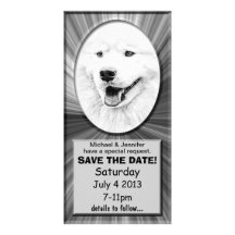 Arte hermoso del perro del samoyedo tarjeta personal con foto