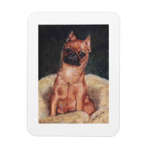 Arte Magnt del perro de Bruselas Griffon Imanes Rectangulares